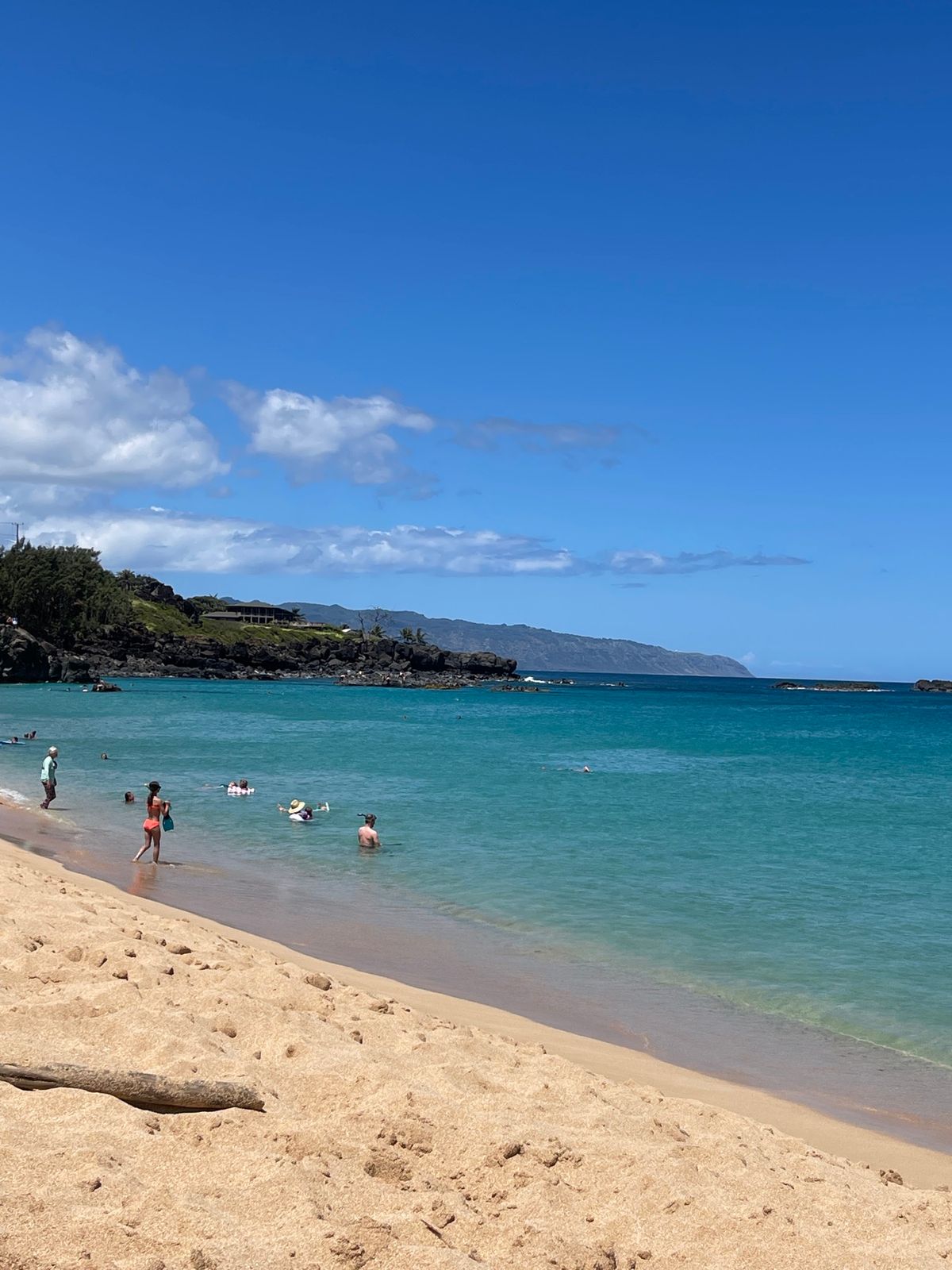 今年もワイメアビーチに来た🏖️
ワイキキとは比べ物にならないキレイな海と砂😍