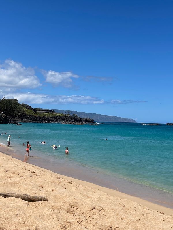 アメリカ(米国)・ホノルル「ハワイ旅行後半　オアフ島」の写真：今年もワイメアビーチに来た🏖️
ワイキキ...