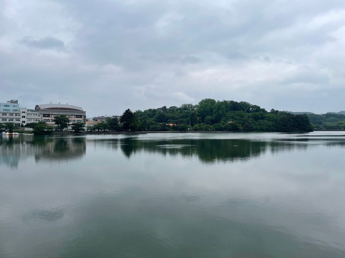 朝食後は少し足を伸ばして高松が池へ。ここは盛岡市民の憩いの場。バードウォッ...