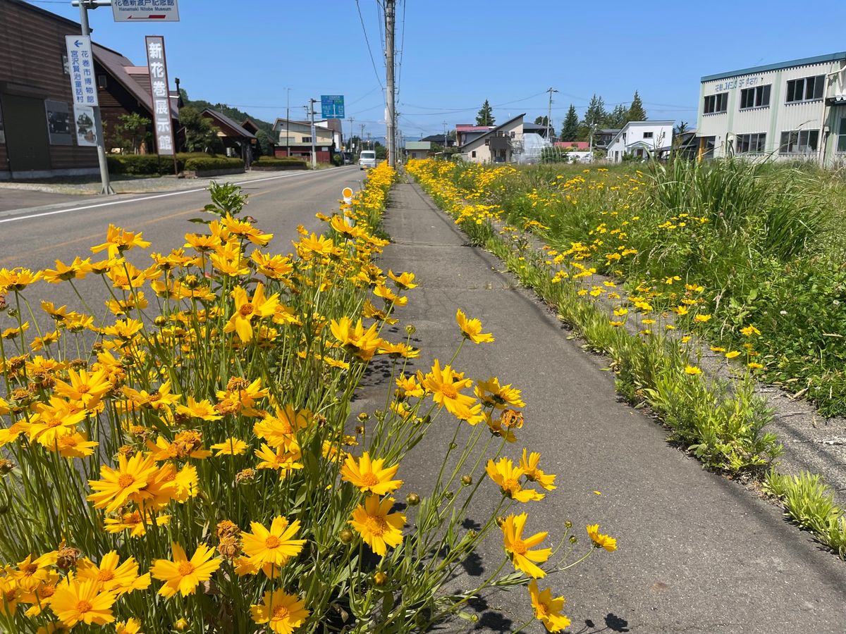 今回は新幹線で新花巻へ。そこから徒歩で宮沢賢治関連の施設へ。行く途中には賢...