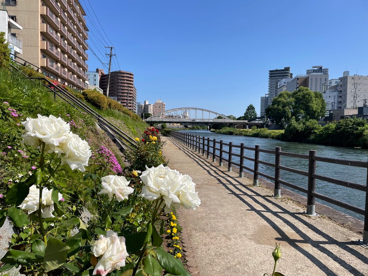 北上川にかかる旭橋から見える岩手山。
