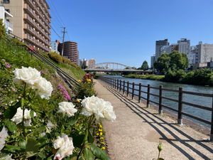 北上川にかかる旭橋から見える岩手山。