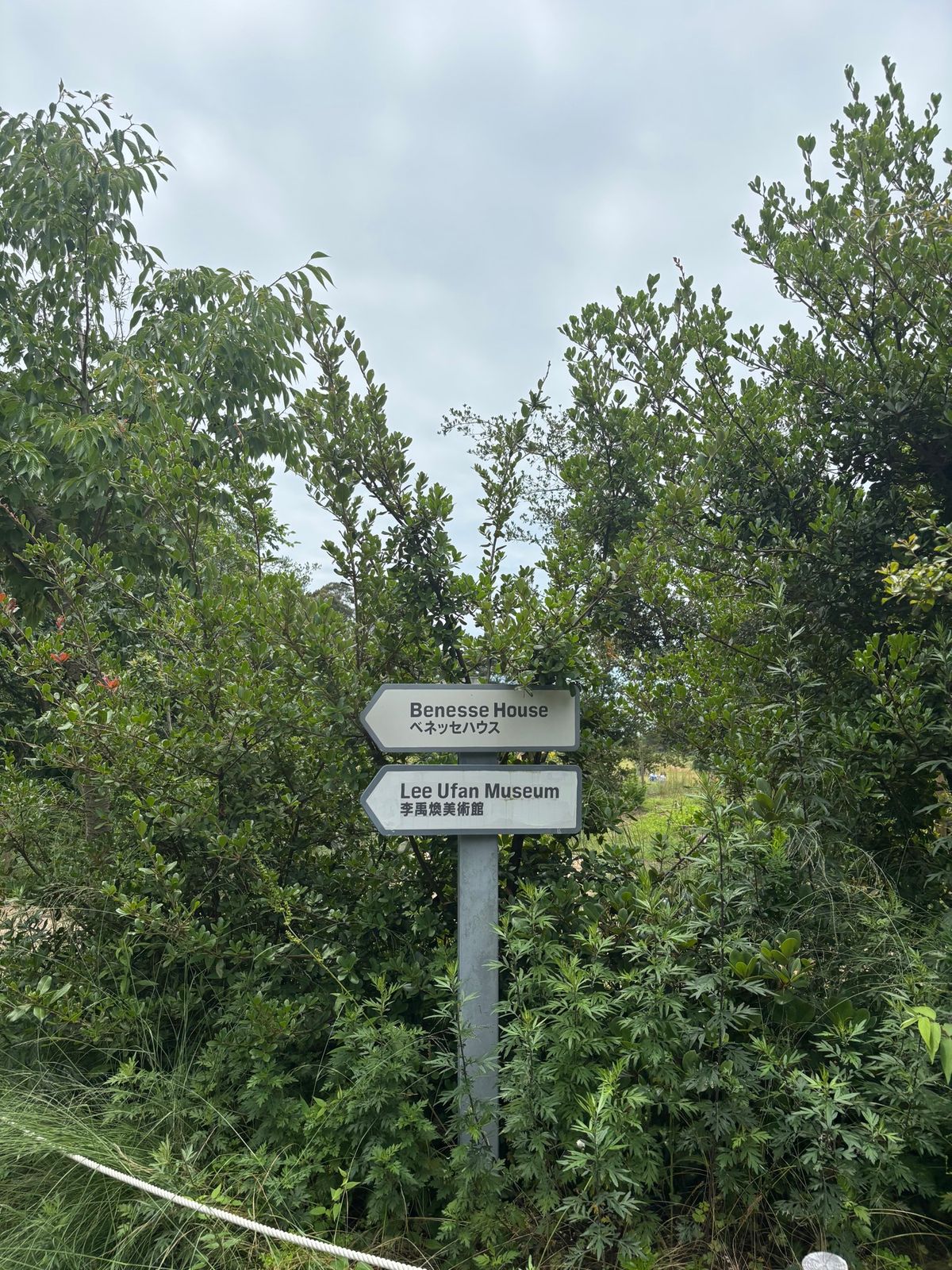 アートがいっぱいの直島✨ステキな島だった👗