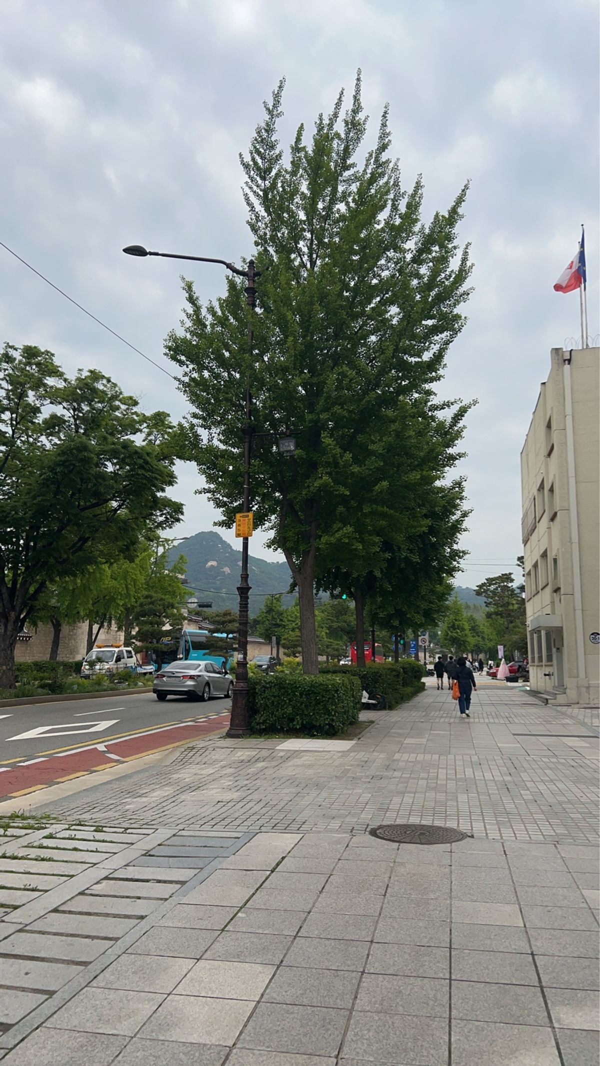 日本に帰るまでに時間があったので、また一人で観光に。景福宮と三清洞へ。滞在...