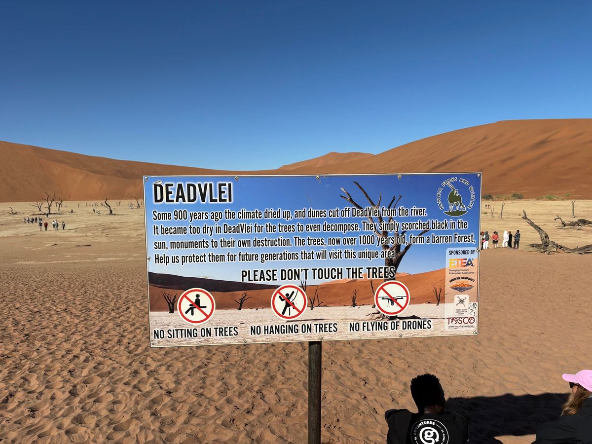 ナミブ砂漠のデッドプレイに行きました。900年前の木の化石が当時の姿で立っ...