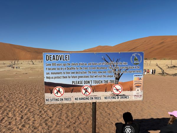 ナミビア・ナミブ砂漠「ナミビア、ジンバブエ、南アフリカ」の写真：ナミブ砂漠のデッドプレイに行きました。9...