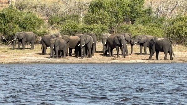 ナミビア・ナミブ砂漠「ナミビア、ジンバブエ、南アフリカ」の写真：午後からボートクルーズを楽しみました。川...