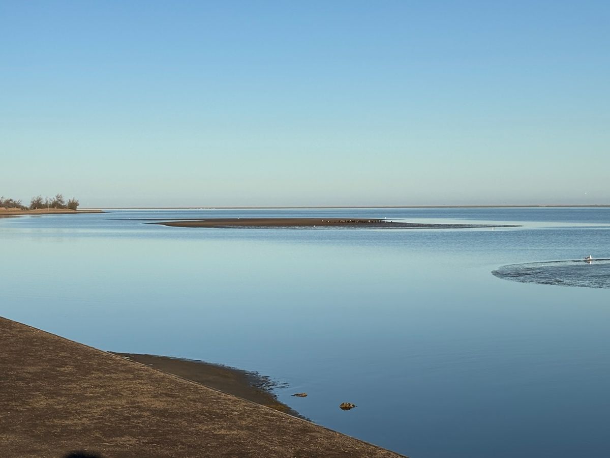 ウォルビスベイでフラミンゴを見に行きました。