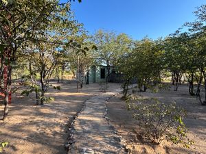 Kaoko Mopane Lodge & Campsiteに泊まりました。...