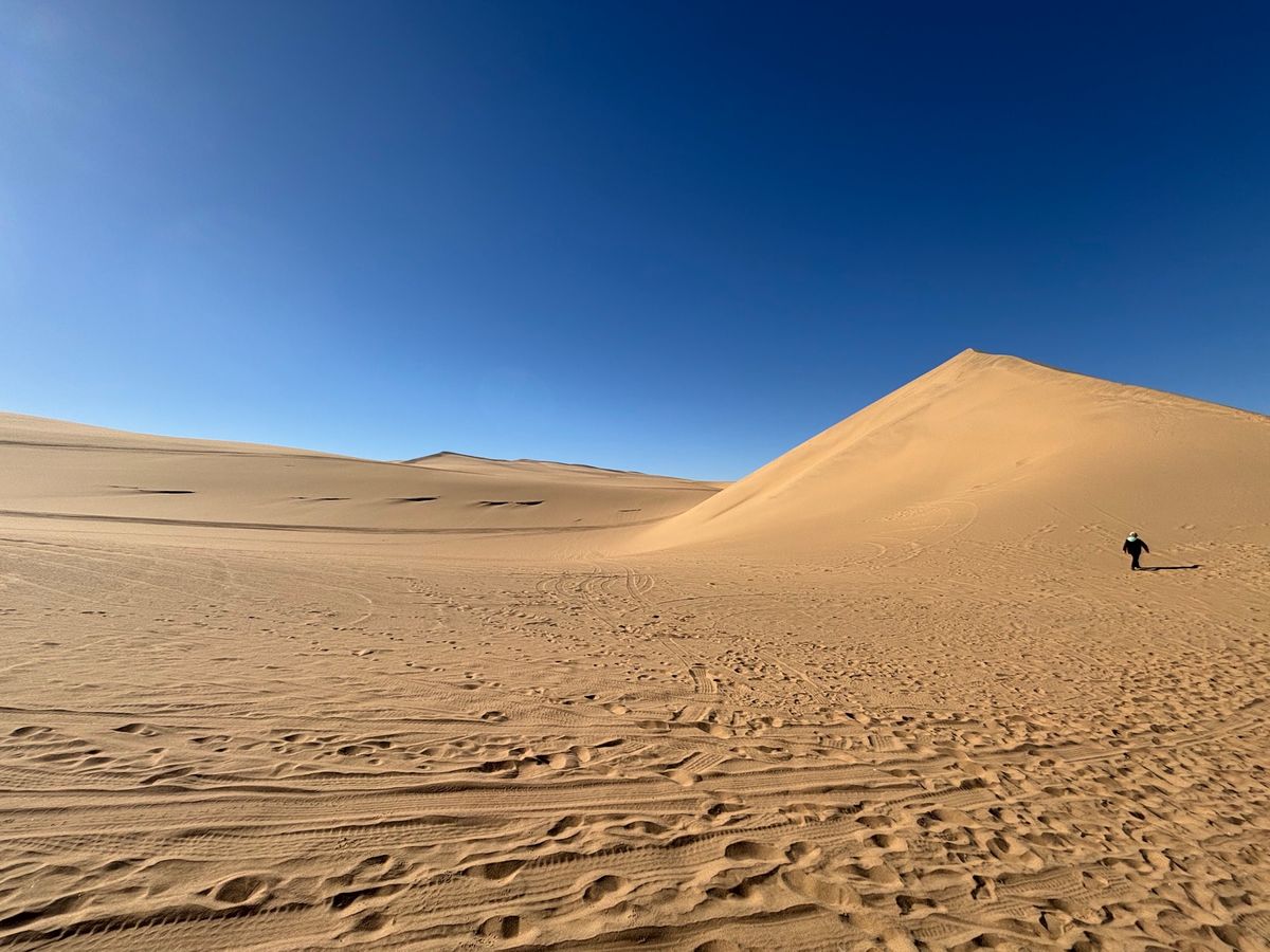 サンドイッチハーバーへ行きました。海の真横に砂漠がありものすごく感動しまし...