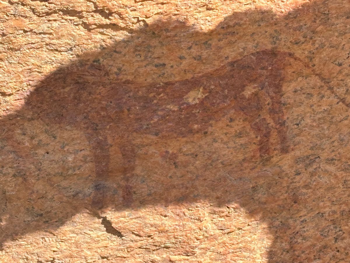 シュピツコッペ1
サン族がブッシュの中で生活しており、ブッシュマンと呼ばれ...