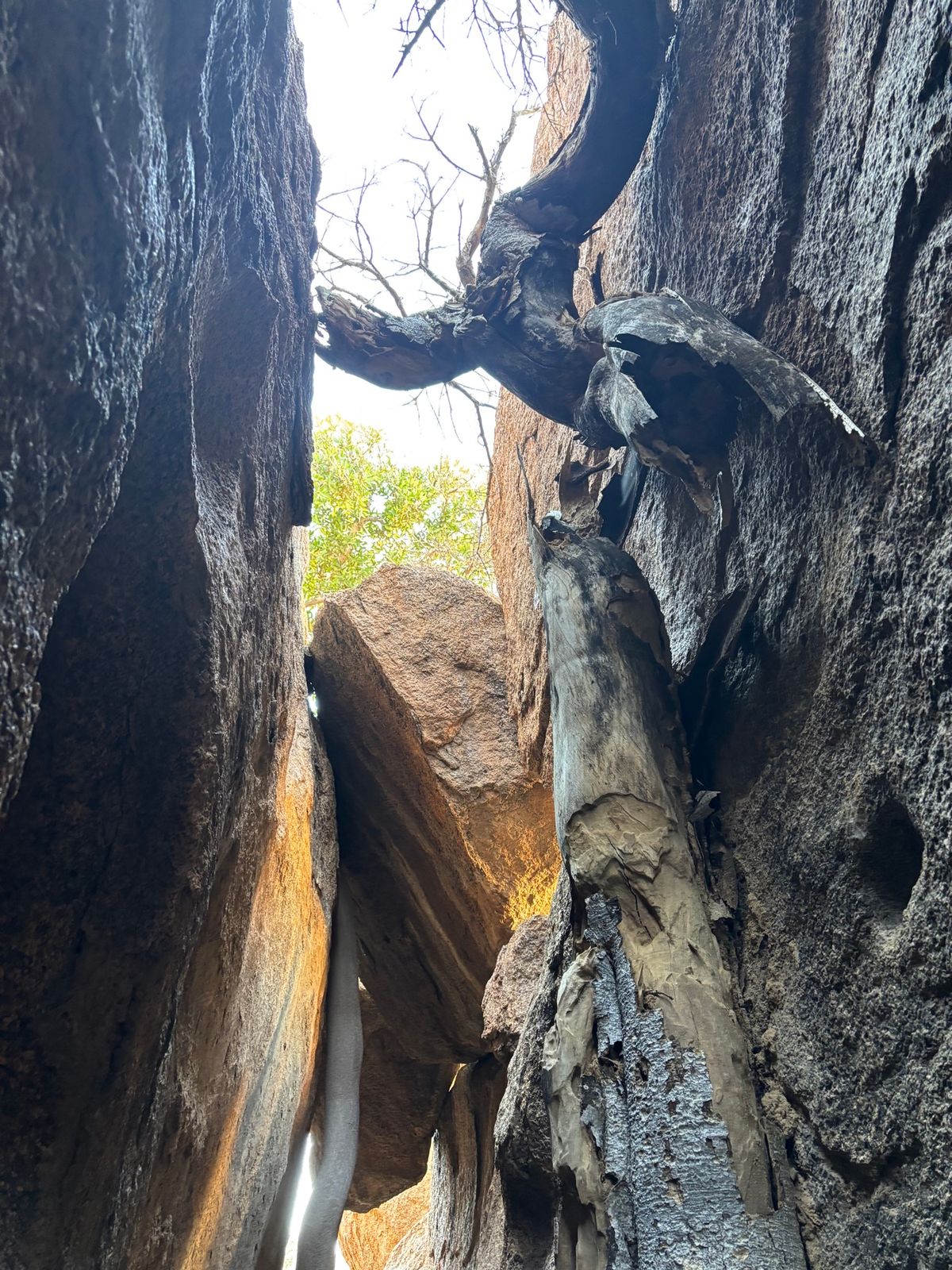 シュピツコッペ2
サン族が暮らしていた洞窟へ。岩の間の地面で寝ていたそうで...