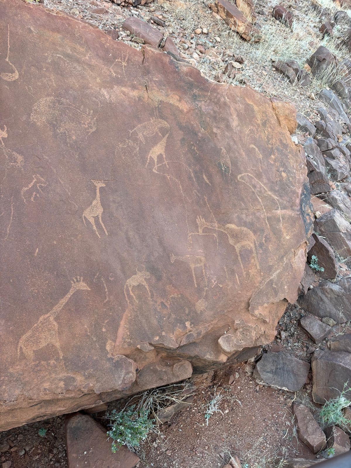 Twyfelfontein
世界遺産になっている壁画を見るガイドツアーに行...