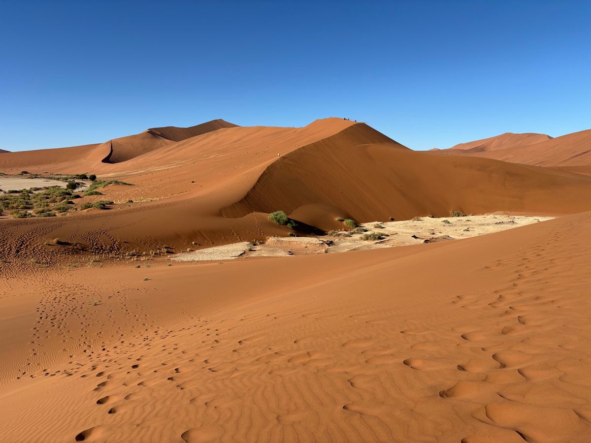 ナミブ砂漠のビッグダディに登りました。結構高くて怖かったですが、ここからデ...