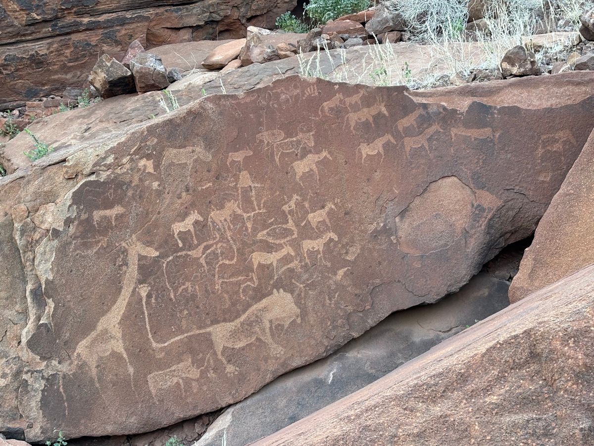 Twyfelfontein
世界遺産になっている壁画を見るガイドツアーに行...