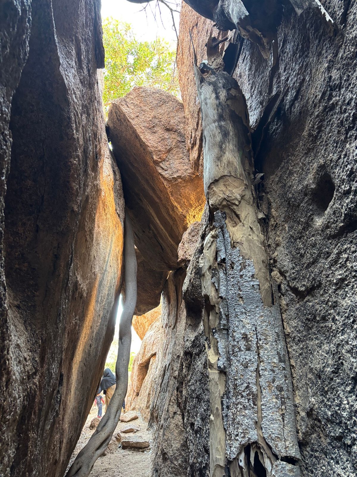 シュピツコッペ2
サン族が暮らしていた洞窟へ。岩の間の地面で寝ていたそうで...