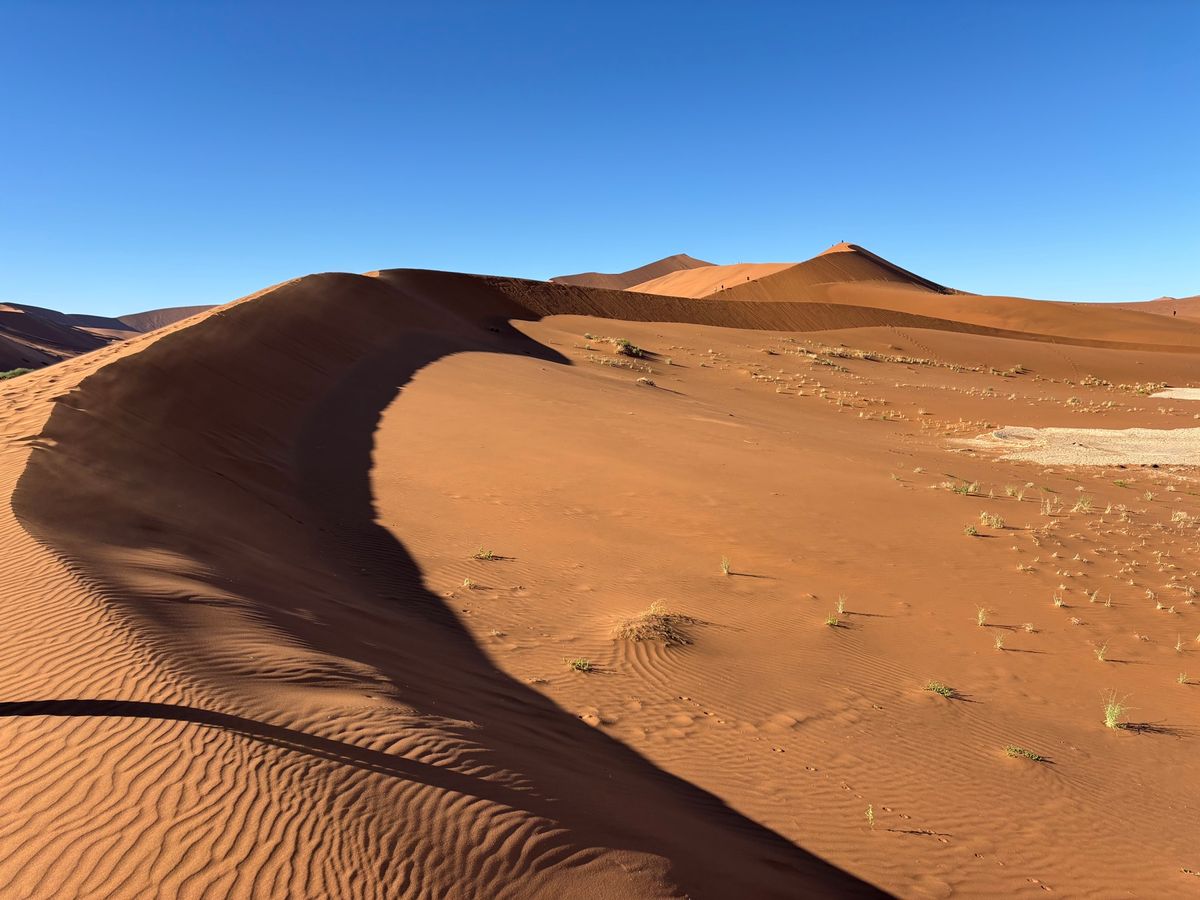 ナミブ砂漠のビッグダディに登りました。結構高くて怖かったですが、ここからデ...