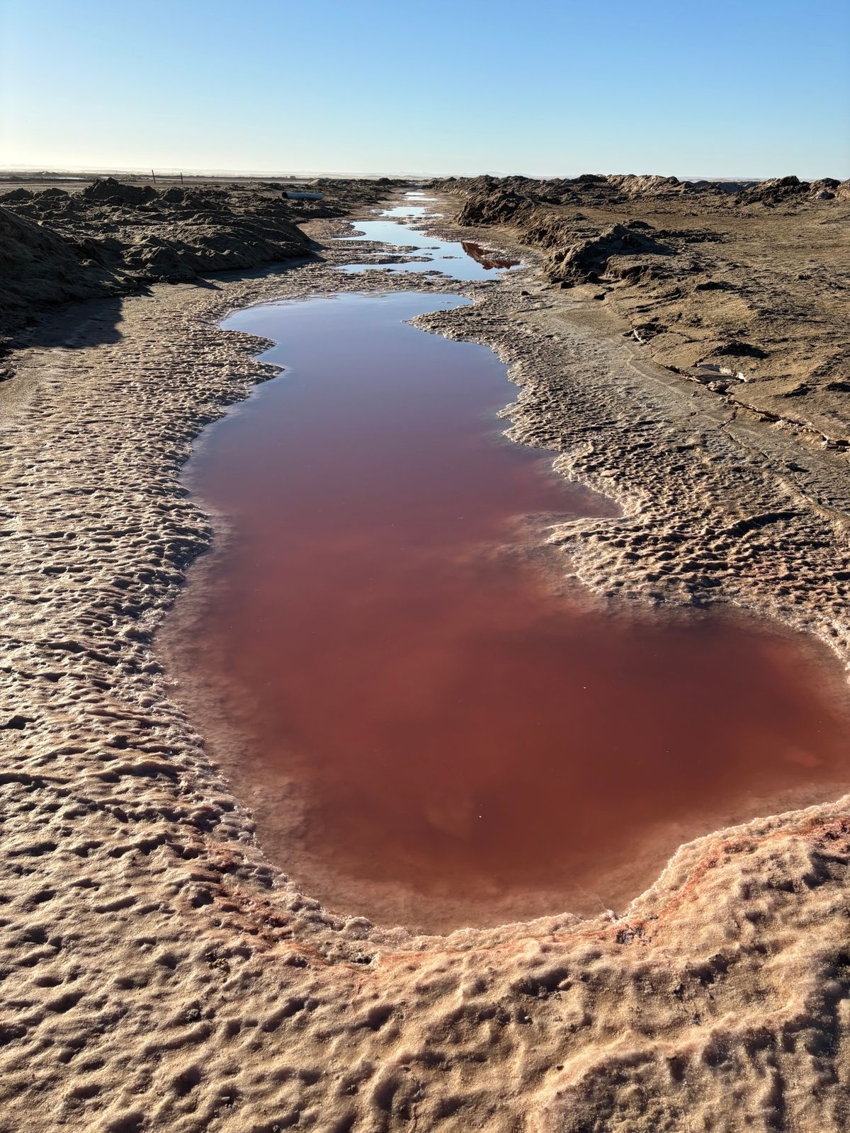 pink legという塩分の非常に濃い海に行きました。塩の結晶が自然に出来...