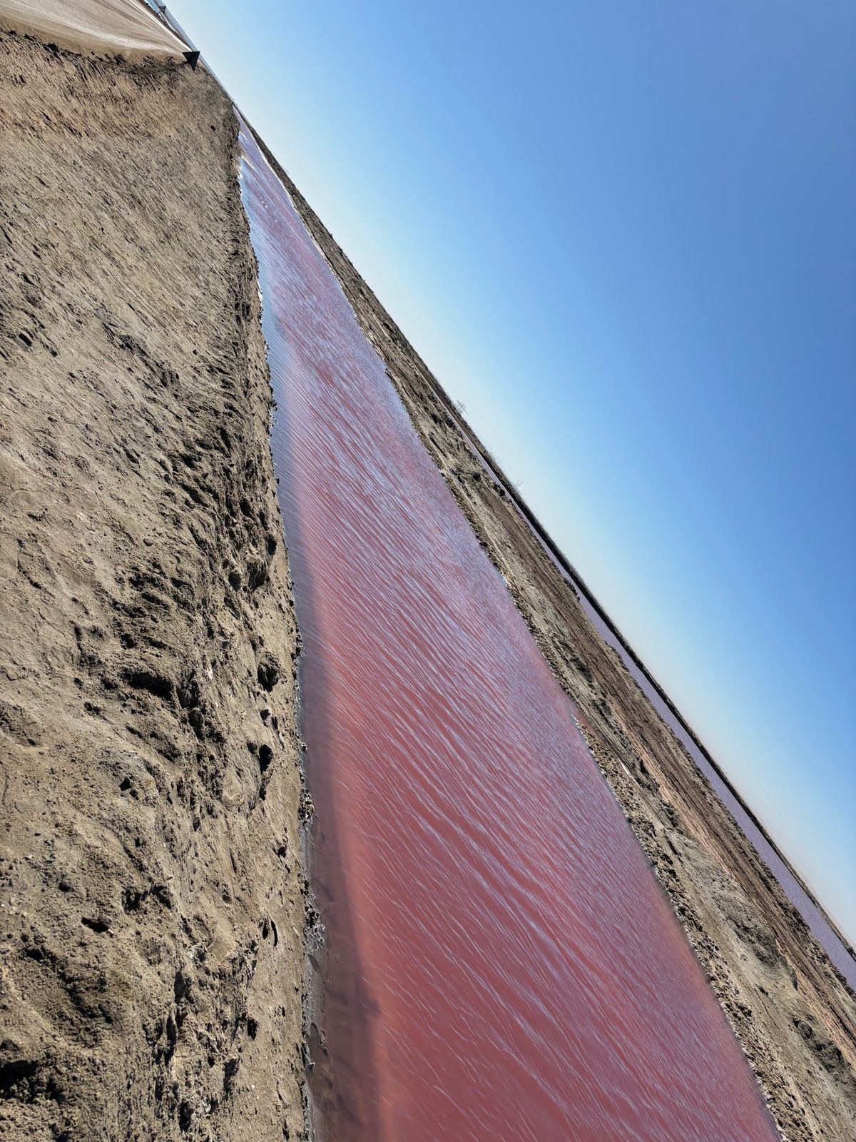 pink legという塩分の非常に濃い海に行きました。塩の結晶が自然に出来...