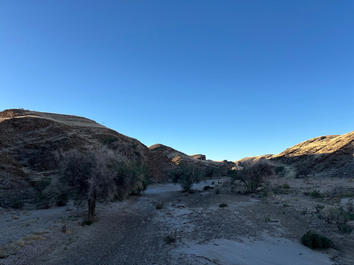 道中の壮大な景色に感動して写真撮影を実施