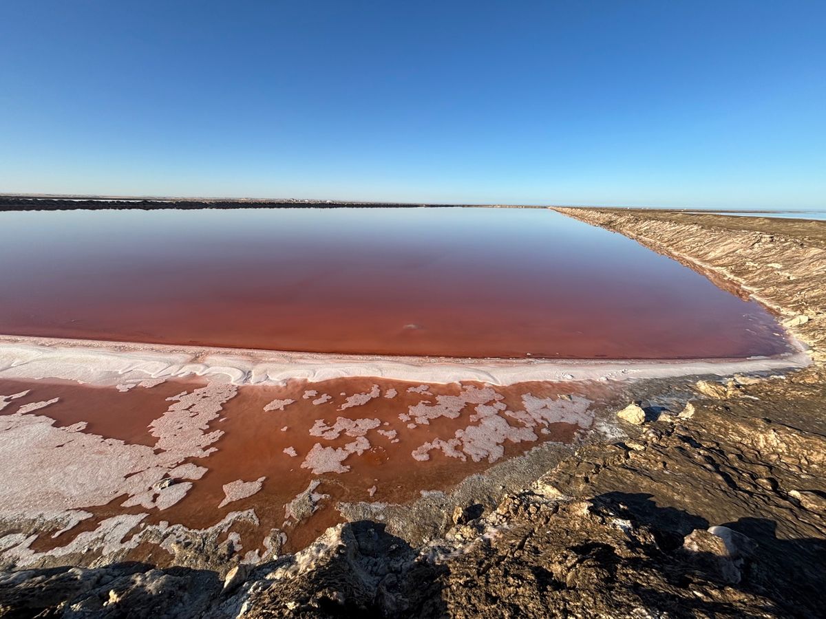 pink legという塩分の非常に濃い海に行きました。塩の結晶が自然に出来...