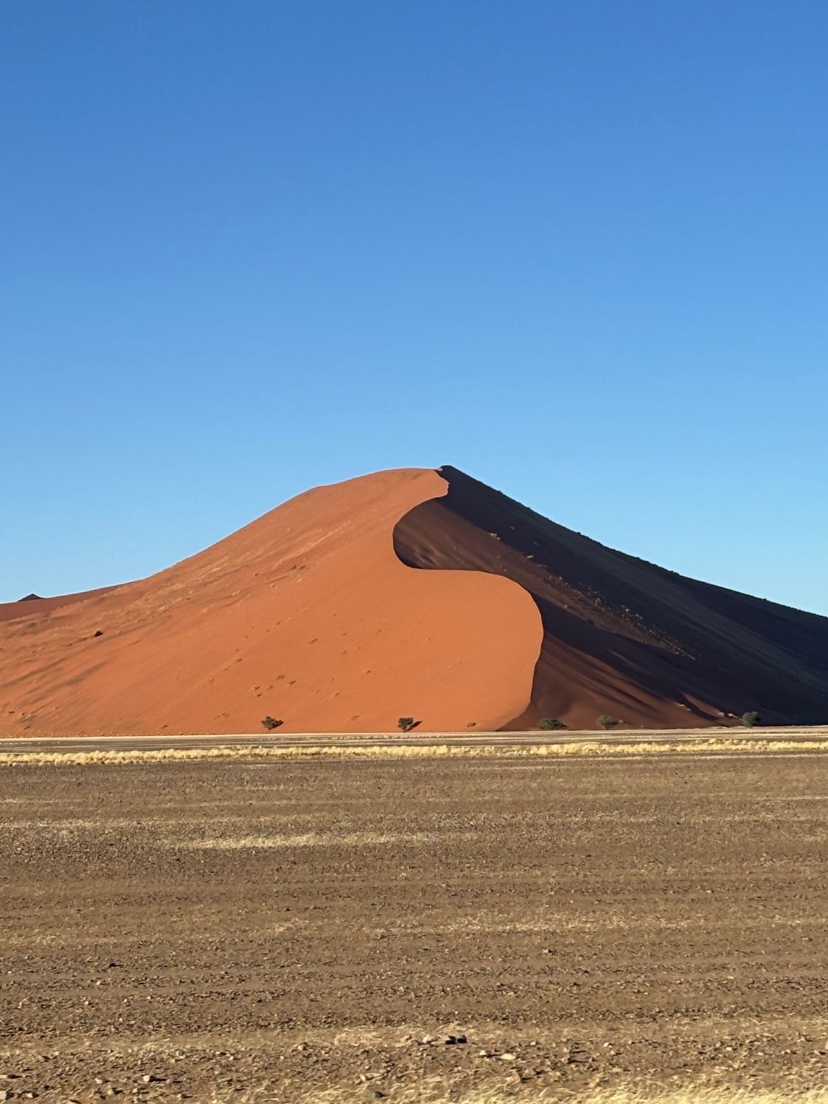 ナミブ砂漠の砂山たち。デューン＊＊と数字で呼ばれているみたいだが、覚えきれない