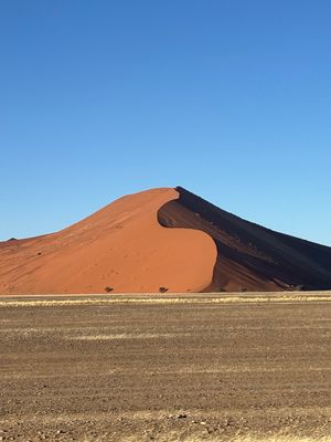 ナミブ砂漠の砂山たち。デューン＊＊と数字で呼ばれているみたいだが、覚えきれない