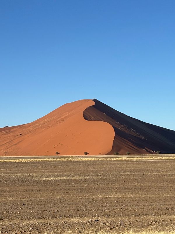 ナミビア・ナミブ砂漠「ナミビア、ジンバブエ、南アフリカ」の写真：ナミブ砂漠の砂山たち。デューン＊＊と数字...