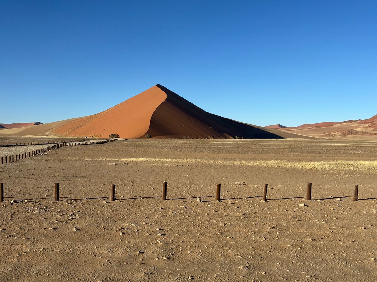 ナミブ砂漠の砂山たち。デューン＊＊と数字で呼ばれているみたいだが、覚えきれない