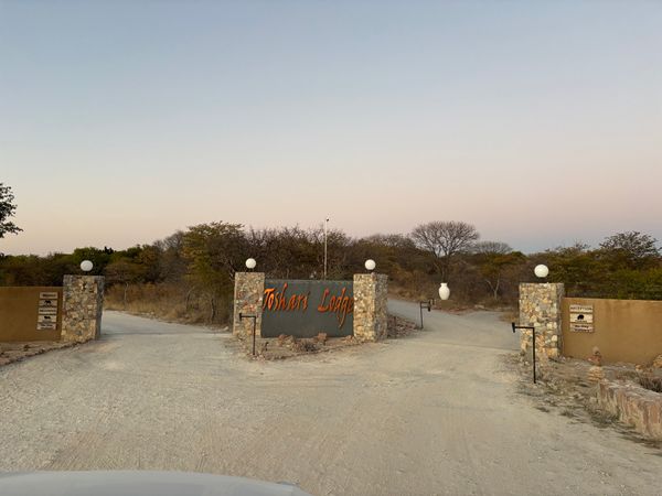 ナミビア・ナミブ砂漠「ナミビア、ジンバブエ、南アフリカ」の写真：Toshari Lodge
エトーシャ国...