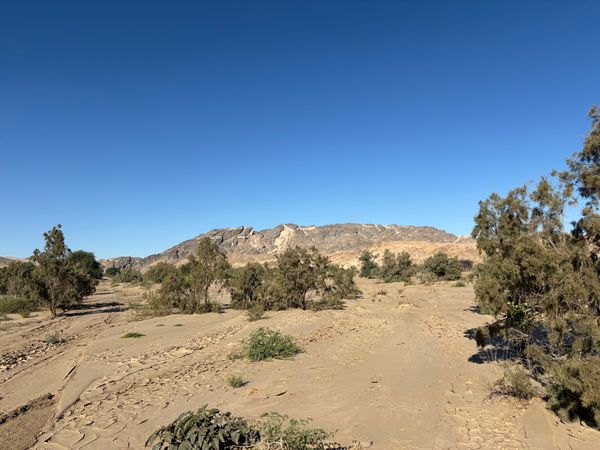 ナミビア・ナミブ砂漠「ナミビア、ジンバブエ、南アフリカ」の写真：移動中の景色