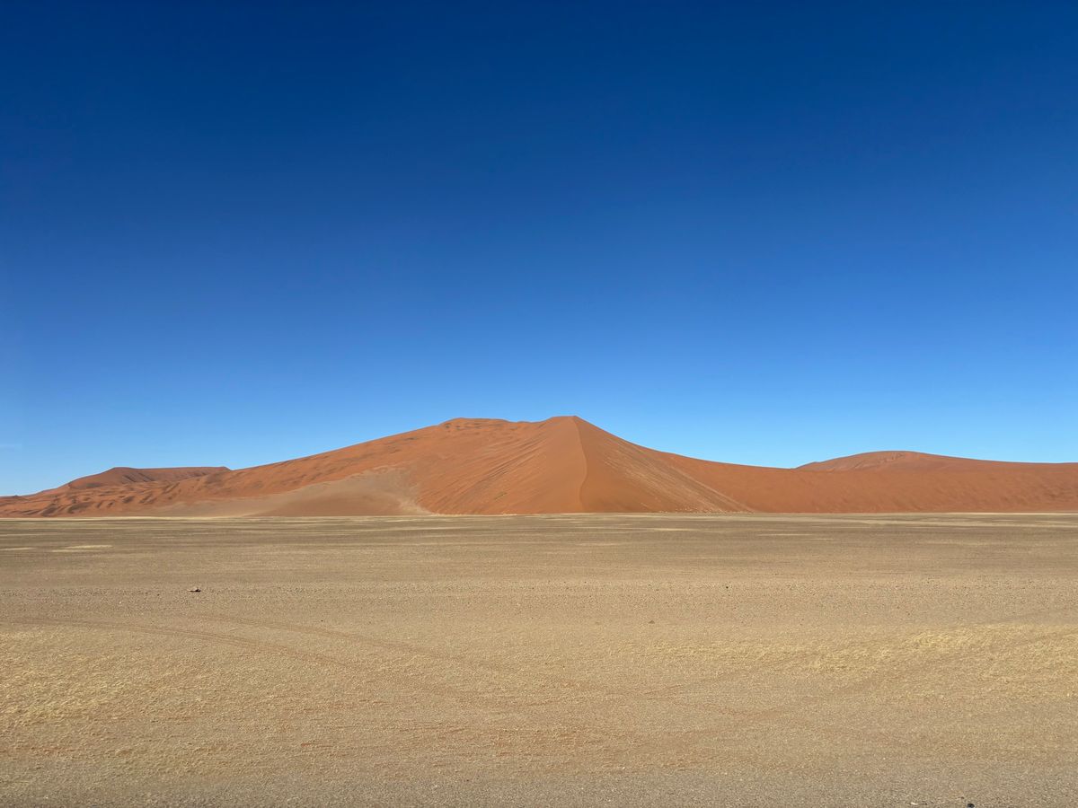 ナミブ砂漠の砂山たち。デューン＊＊と数字で呼ばれているみたいだが、覚えきれない