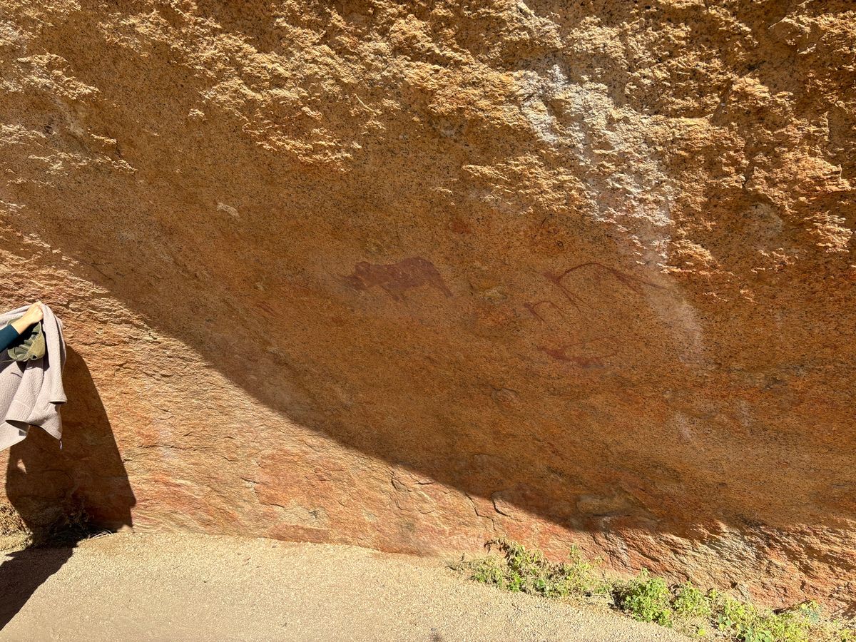 シュピツコッペ1
サン族がブッシュの中で生活しており、ブッシュマンと呼ばれ...