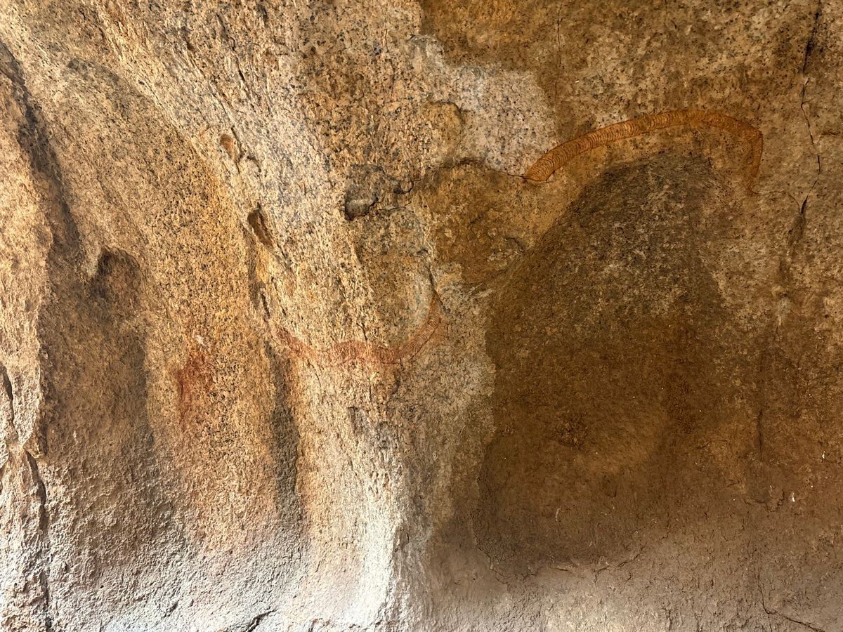 シュピツコッペ2
サン族が暮らしていた洞窟へ。岩の間の地面で寝ていたそうで...