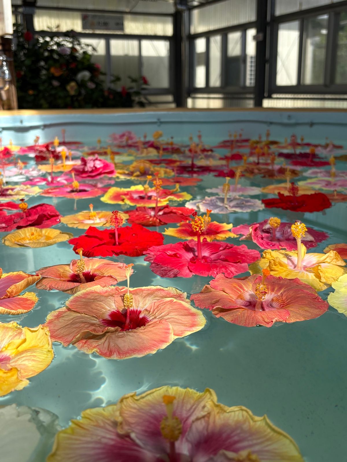 朝よしくんが起きてそのタイミングで起きなかったから先に下行ったけど、先に1...