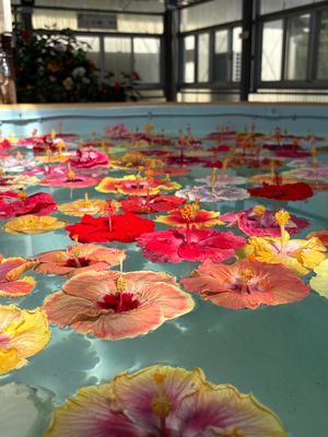 朝よしくんが起きてそのタイミングで起きなかったから先に下行ったけど、先に1...