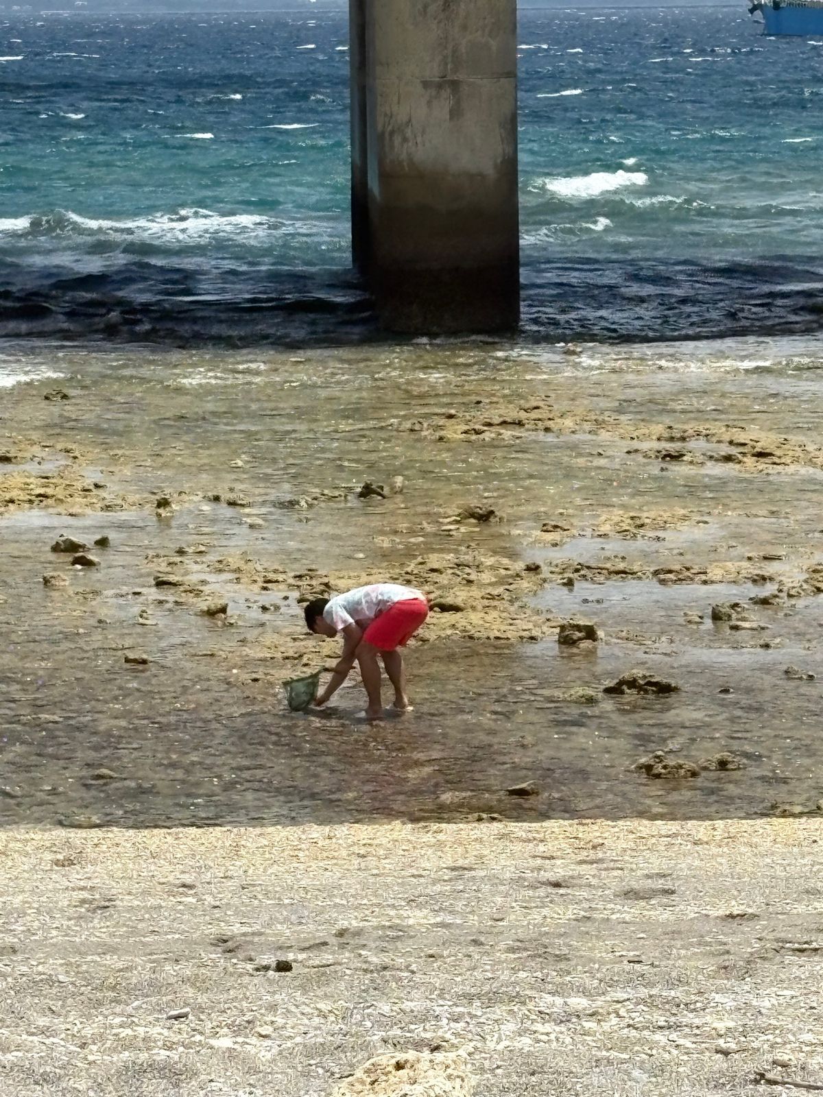 1日目（仕事終わりに移動して沖縄に到着）
スーパーで買い出しして終了
2日...