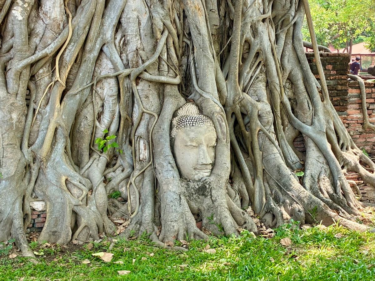 ミャンマー地震の翌日(3/29)には鉄道が走り出したので、鉄道で 古都アユ...