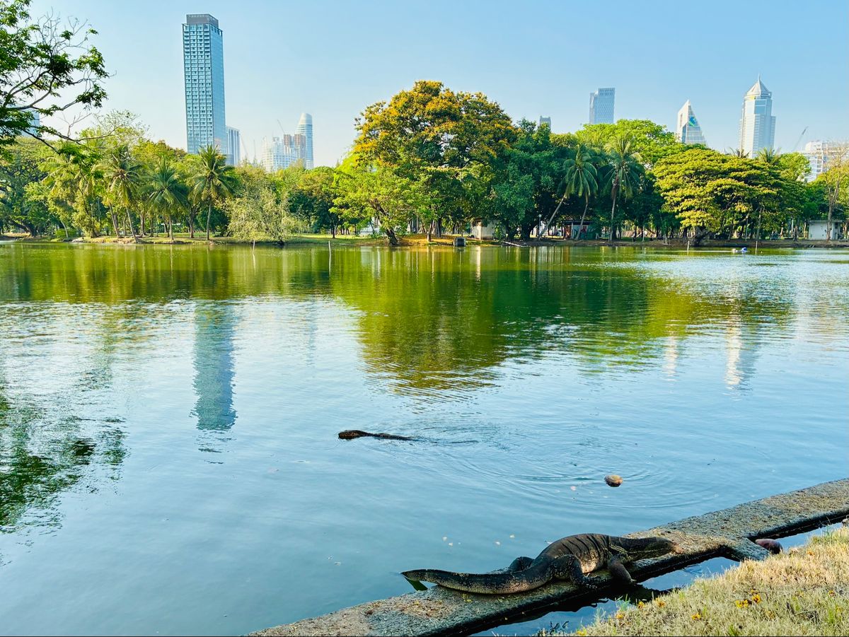 3/28 ミャンマーでM7.7の地震
丁度 その時 レンタカーをスワナンプ...