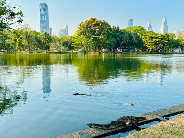 タイ・Bangkok「Thailland 2025」の写真：3/28 ミャンマーでM7.7の地震
丁...