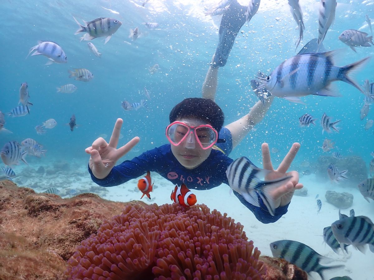 ワット カオシーチャン
サメサン島シュノーケルツアー