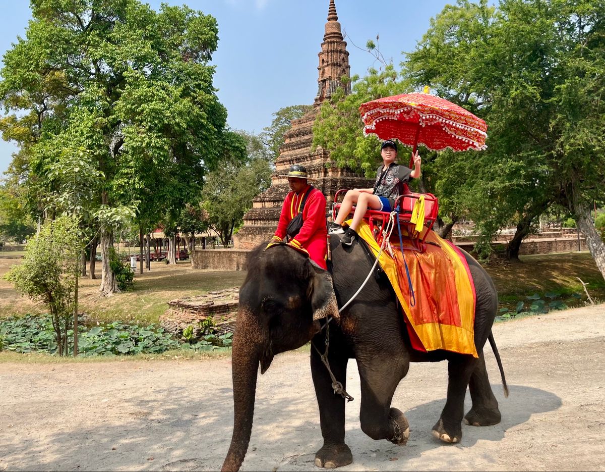 ミャンマー地震の翌日(3/29)には鉄道が走り出したので、鉄道で 古都アユ...