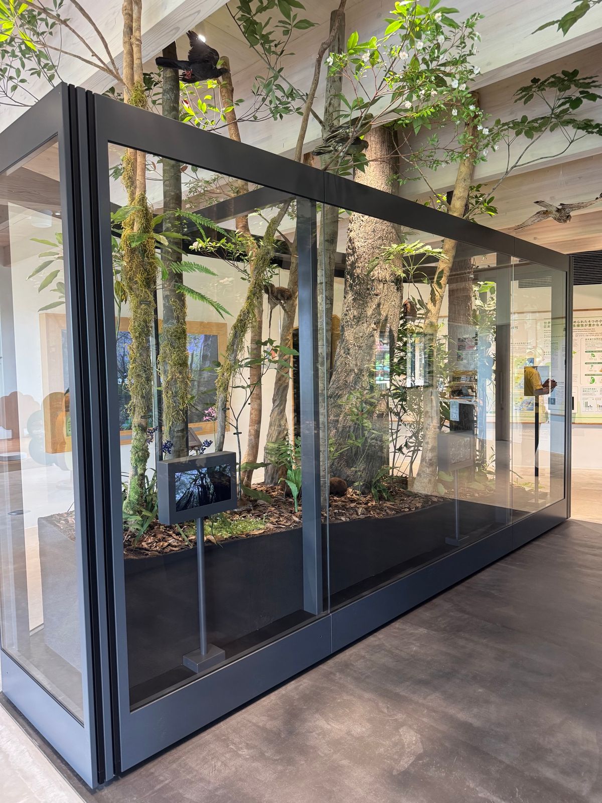 徳之島
世界遺産センター

とても素敵な施設で子どもから、大人まで楽しめる...