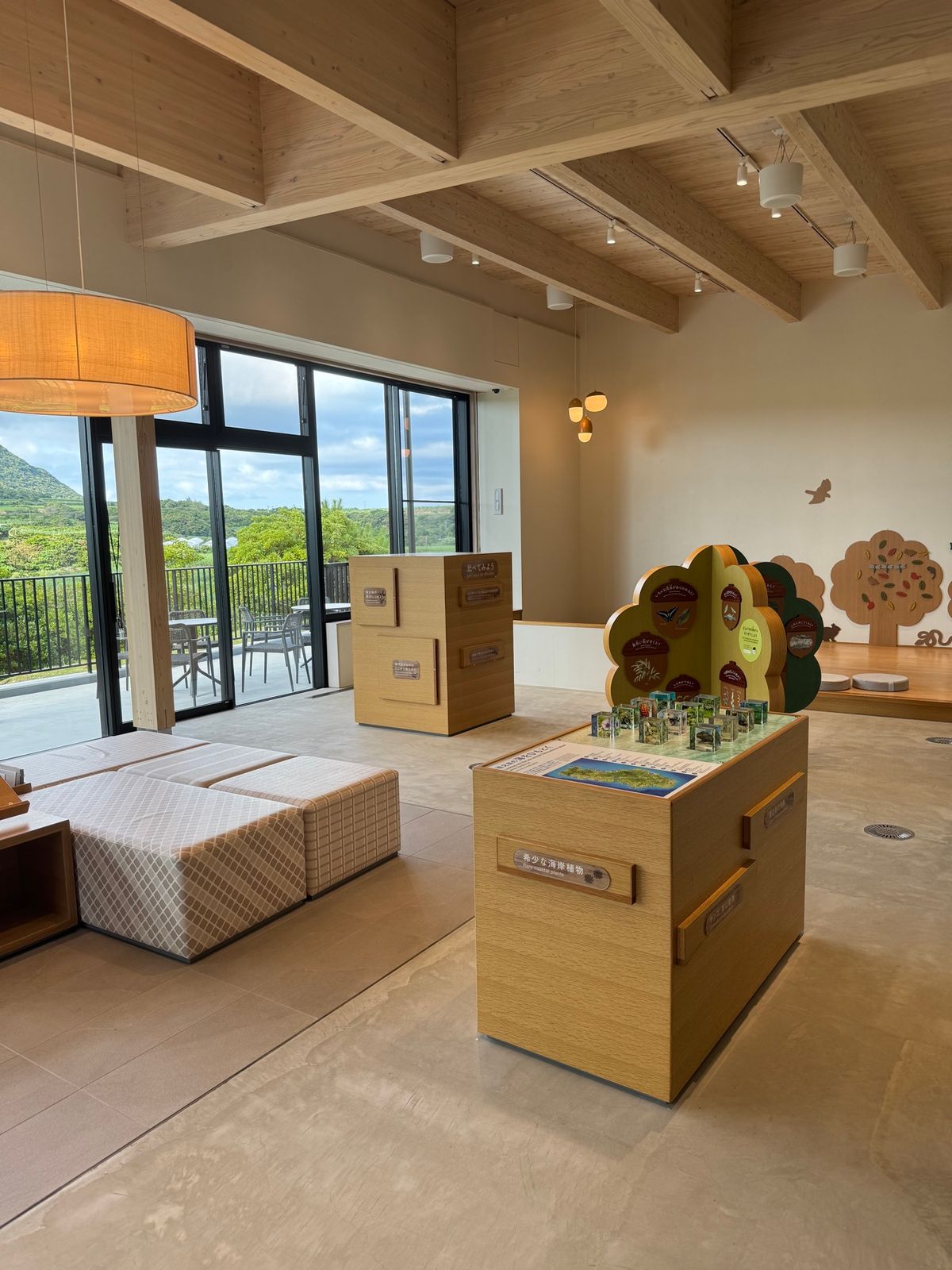 徳之島
世界遺産センター

とても素敵な施設で子どもから、大人まで楽しめる...