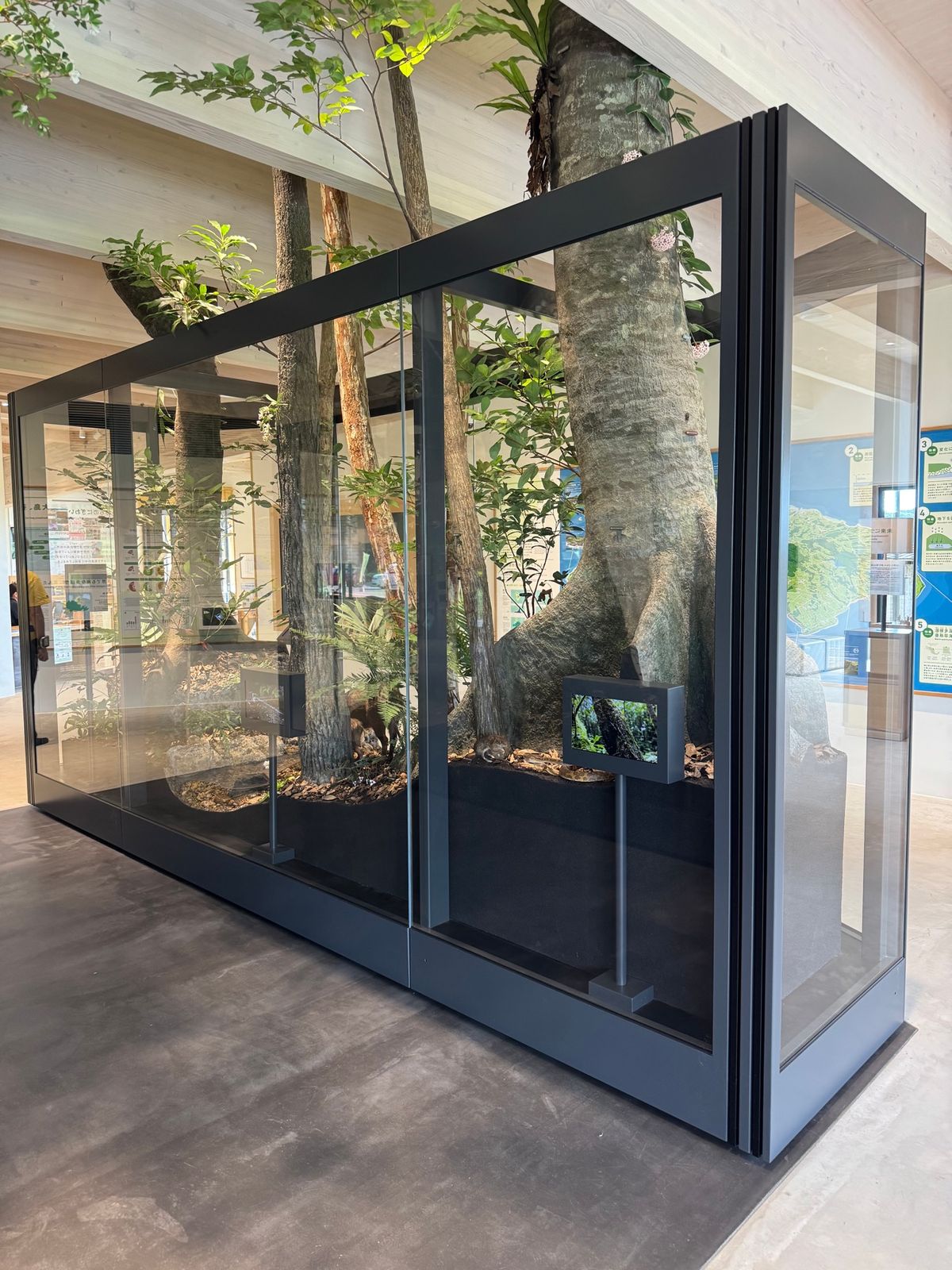 徳之島
世界遺産センター

とても素敵な施設で子どもから、大人まで楽しめる...