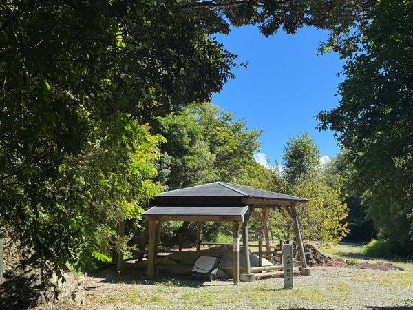 日本・鹿児島県「徳之島　アマミノクロウサギを見に行く」の写真：徳之島
●戸森の線刻画
●戸森の線刻画
...