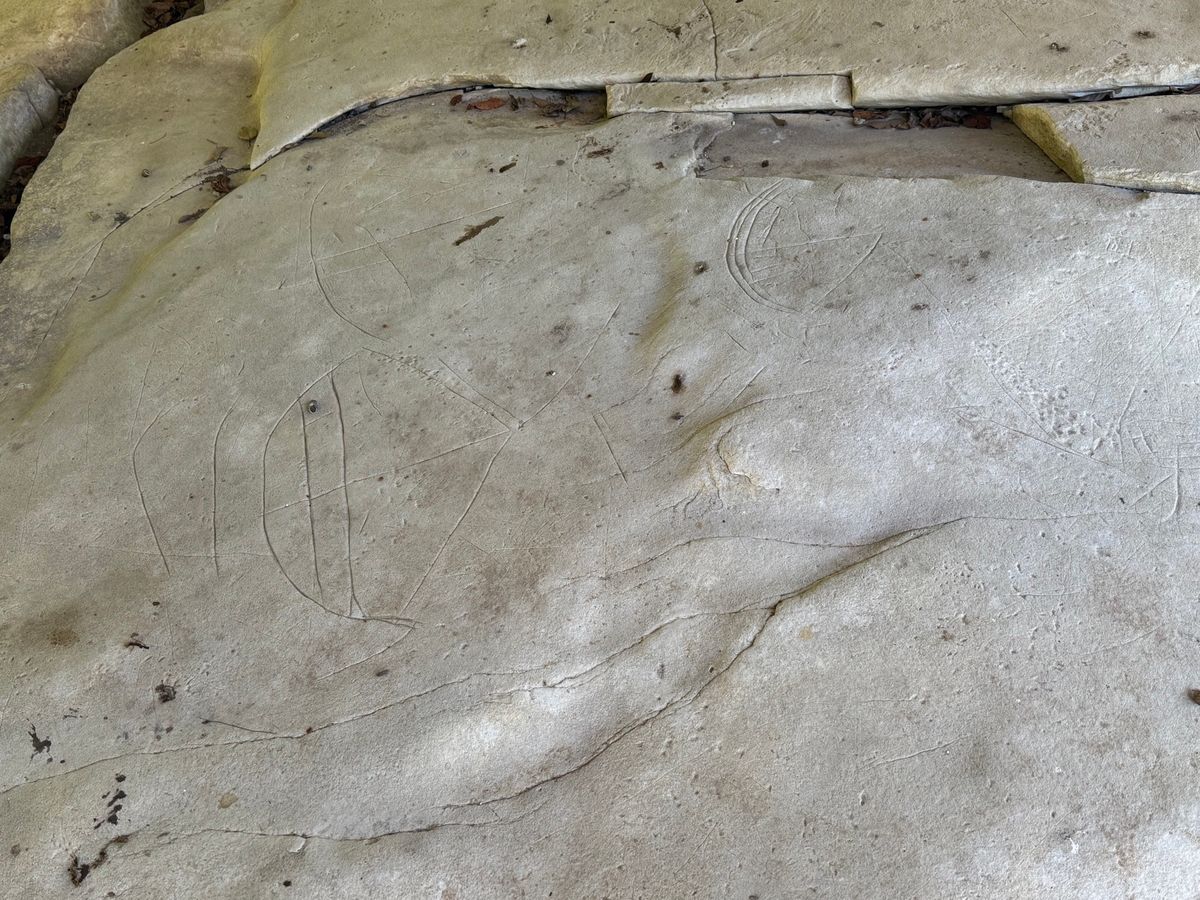 徳之島
●戸森の線刻画
●戸森の線刻画
●犬の門蓋（いんのじょうふた）のめ...