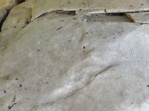 徳之島
●戸森の線刻画
●戸森の線刻画
●犬の門蓋（いんのじょうふた）のめ...