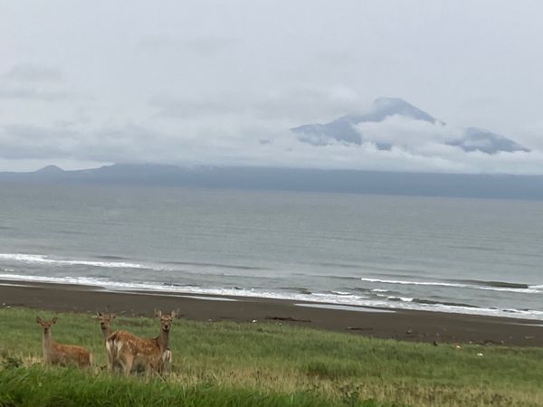 日本・北海道「北海道　稚内」の写真