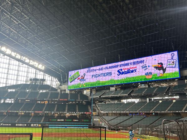 日本・北海道「札幌　2025.06」の写真